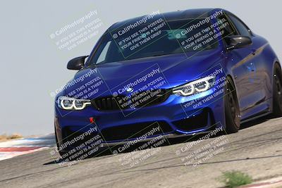media/Jul-26-2025-Speed Ventures (Sat) [[fe569e6cf0]]/Black Group/Grapvine/